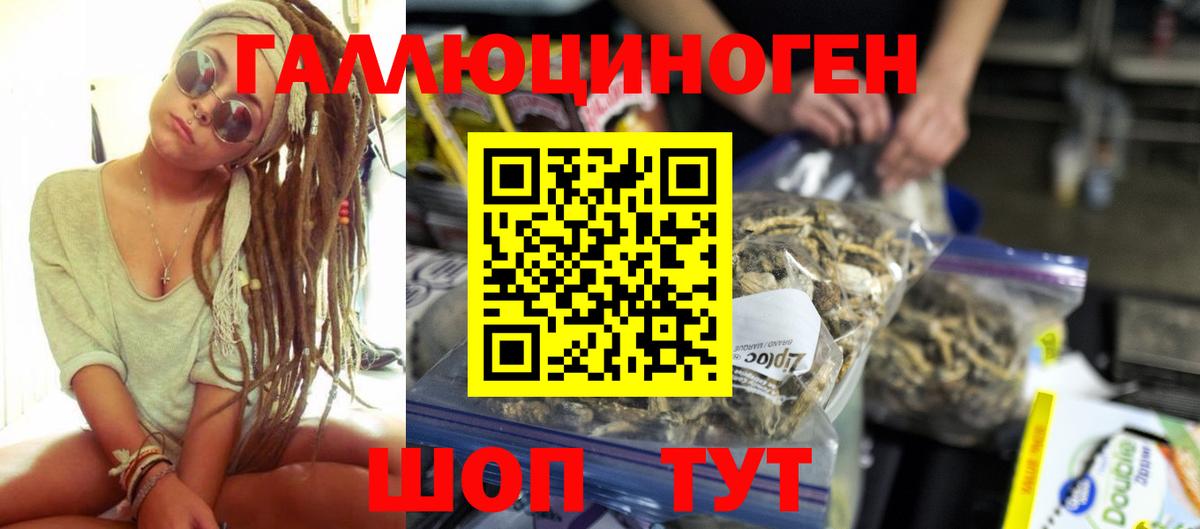Галлюциногенные грибы прущие грибы  Псилоцибиновые грибы мицелий  Сокол  Вход с VPN 